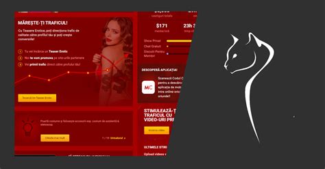 castiguri videochat|Cum și câți bani poți face din videochat .